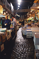 Row In Fish Market